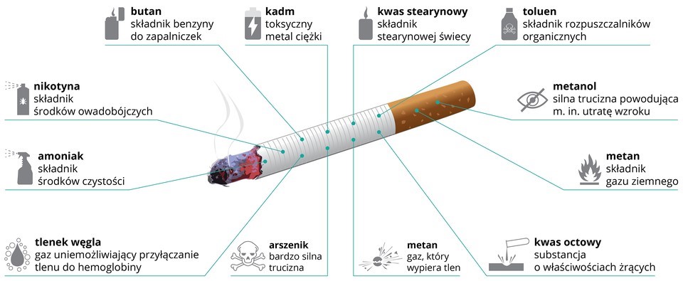 Infografika pokazująca szkodliwe substancje które zawiera papieros